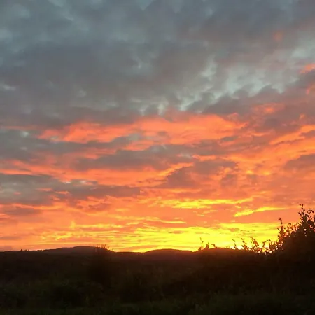 Skylark Accommodatie bij particulieren Killaloe