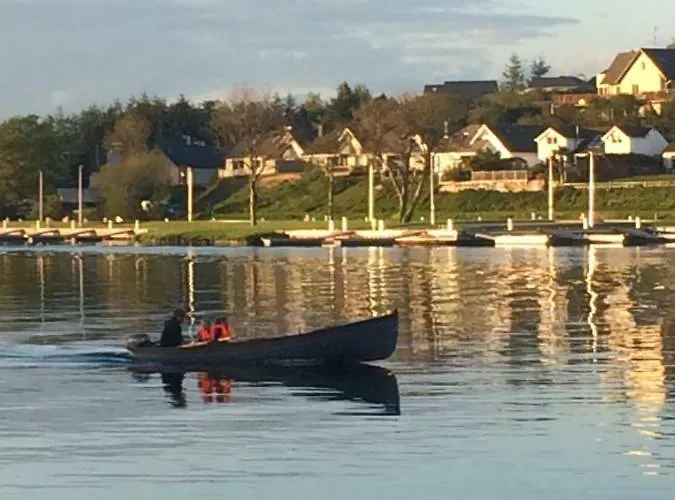 Skylark * Killaloe